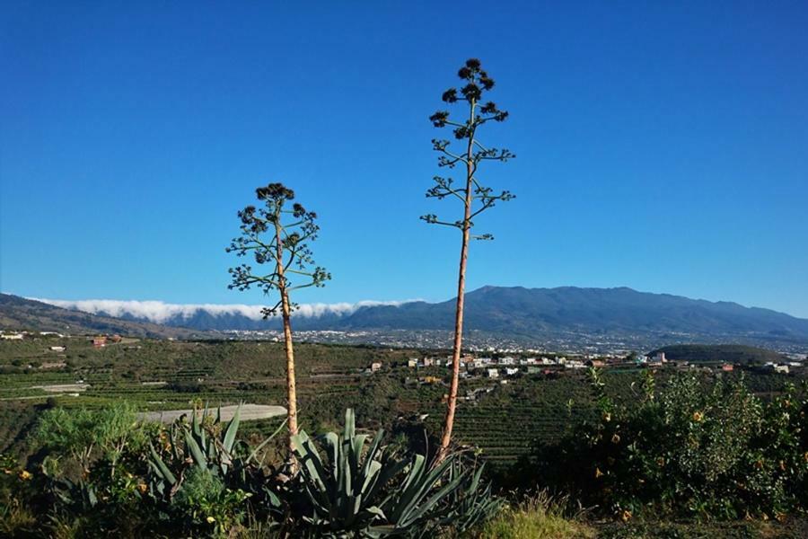Casa Vista Caldera Villa Tijarafe Buitenkant foto